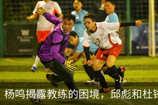 杨鸣揭露教练的困境，邱彪和杜锋的小团队行为是否成为自保策略？